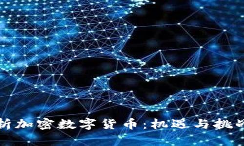 全面解析加密数字货币：机遇与挑战的未来