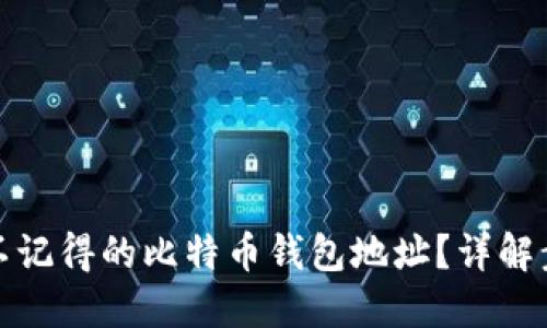 如何找回不记得的比特币钱包地址？详解步骤与技巧