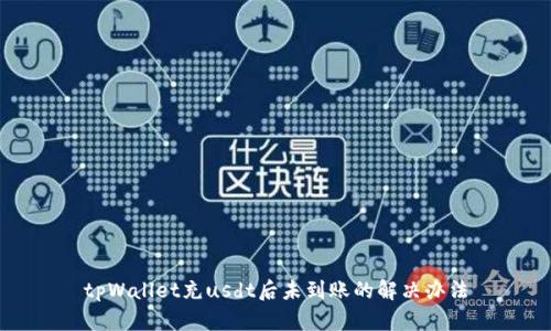 tpWallet充usdt后未到账的解决办法