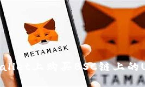 如何在TP Wallet上购买BSC链上的U币:详细指南