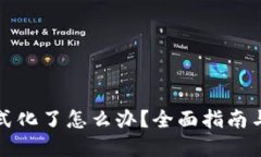 冷钱包格式化了怎么办？全面指南与解决方案