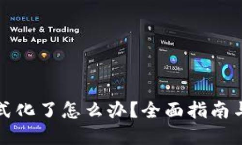 冷钱包格式化了怎么办?全面指南与解决方案