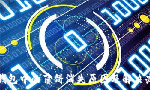 Tp钱包中的薄饼消失原因及解决办法