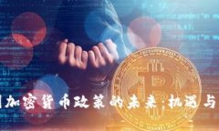 韩国加密货币政策的未来：机遇与挑战