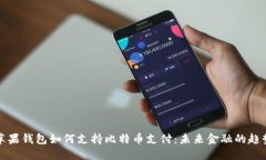 苹果钱包如何支持比特币支付：未来金融的趋势