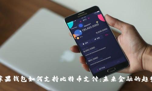 苹果钱包如何支持比特币支付:未来金融的趋势
