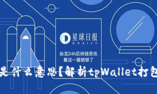 tpWallet打包中是什么意思?解析tpWallet打包过程及其重要性