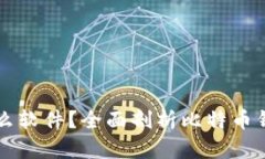 比特币钱包是什么软件？全面剖析比特币钱包的