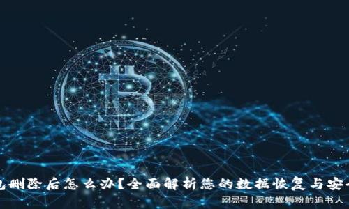 TP钱包删除后怎么办?全面解析您的数据恢复与安全问题