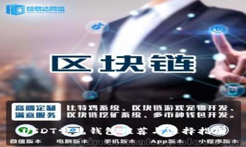 USDT常见钱包推荐与选择指南