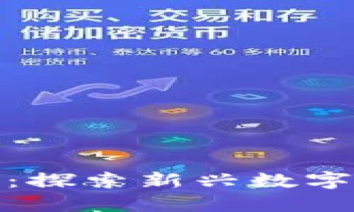 ST海投数字货币:探索新兴数字资产的投资机会