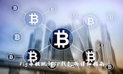 Pig币提现到TP钱包的详细指南