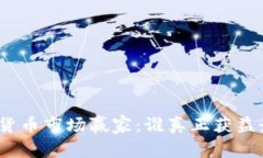 加密货币市场赢家：谁真正获益最大？