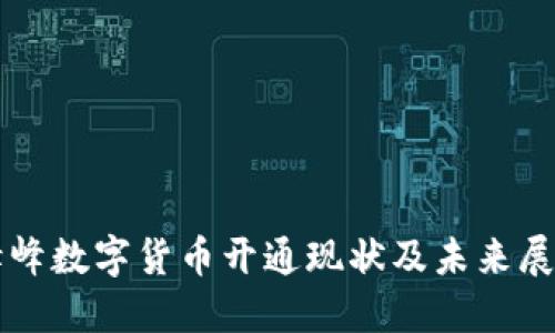 赤峰数字货币开通现状及未来展望