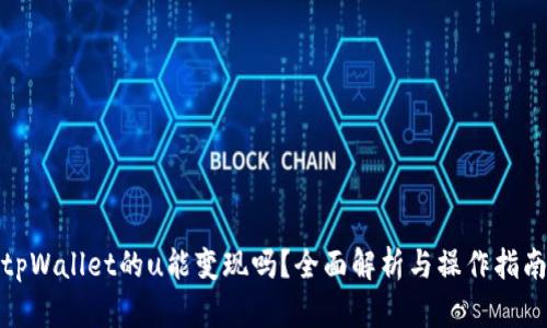 tpWallet的u能变现吗?全面解析与操作指南