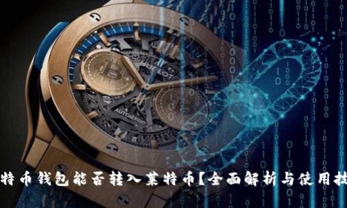 比特币钱包能否转入莱特币？全面解析与使用技巧
