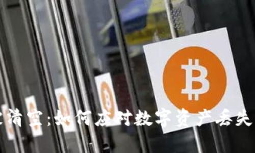 tpWallet被清空:如何应对数字资产丢失带来的危机