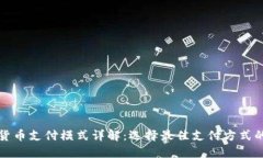 数字货币支付模式详解：选择最佳支付方式的指