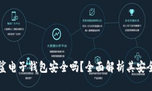 区块链星鲨电子钱包安全吗？全面解析其安全性与风险