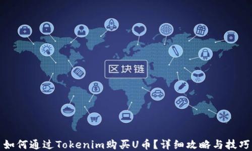 
如何通过Tokenim购买U币？详细攻略与技巧
