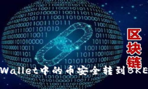 如何将tpWallet中的币安全转到BKEX交易所?