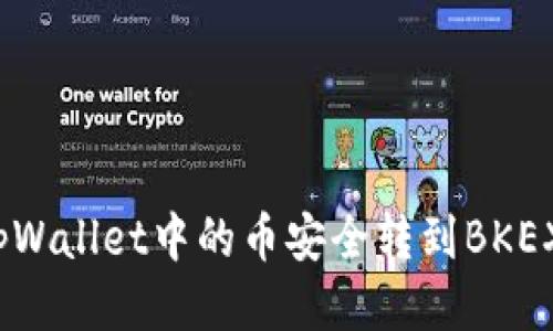 如何将tpWallet中的币安全转到BKEX交易所?