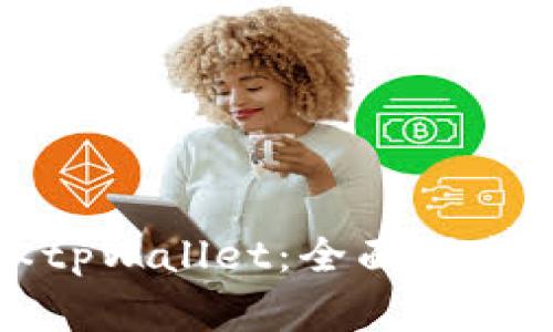 如何使用老版本tpWallet:全面指南与常见问题解析