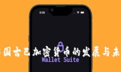 中国古巴加密货币的发展与未来