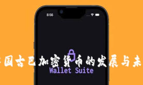 中国古巴加密货币的发展与未来