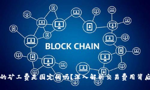 TP钱包的矿工费是固定的吗?深入解析交易费用背后的秘密