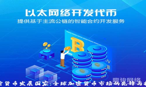 
加密货币发展国家：全球加密货币市场的先锋与挑战