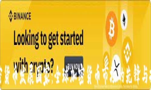 
加密货币发展国家：全球加密货币市场的先锋与挑战