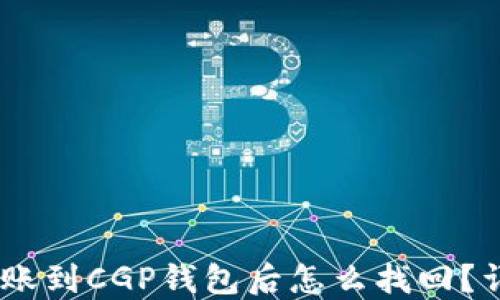 
USDT转账到CGP钱包后怎么找回？详细指南