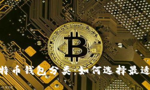 :全面解析比特币钱包分类:如何选择最适合你的钱包?