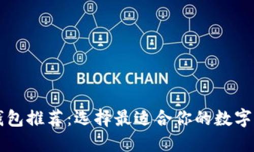 虚拟币主流钱包推荐:选择最适合你的数字资产管理工具