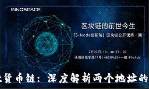 tpWallet货币链: 深度解析两个地址的背后意义