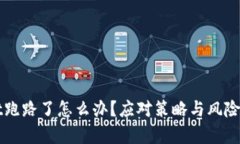 tpWallet跑路了怎么办？应对策略与风险防范指南