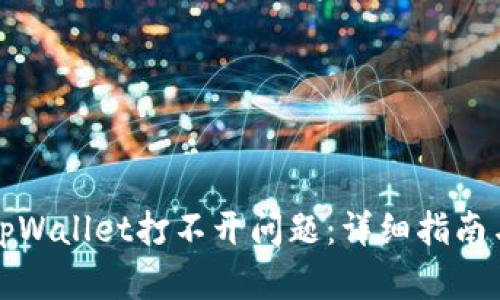 如何解决tpWallet打不开问题:详细指南与解决方案