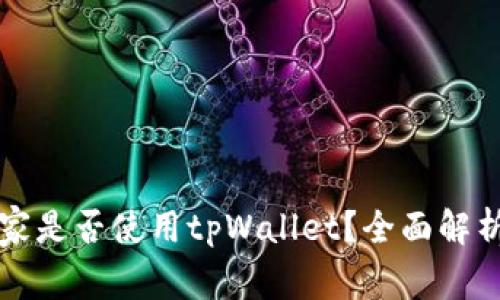 中东国家是否使用tpWallet?全面解析与现状