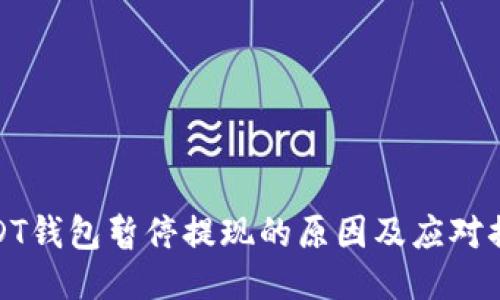 USDT钱包暂停提现的原因及应对措施