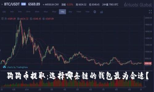 狗狗币提取：选择哪条链的钱包最为合适？