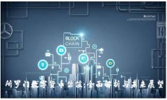 所罗门数字货币估值：全面解析与未来展望