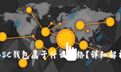 TP钱包里的BSC钱包属于什么网络?详细解析与使用指南