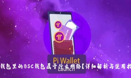 TP钱包里的BSC钱包属于什么网络?详细解析与使用指南