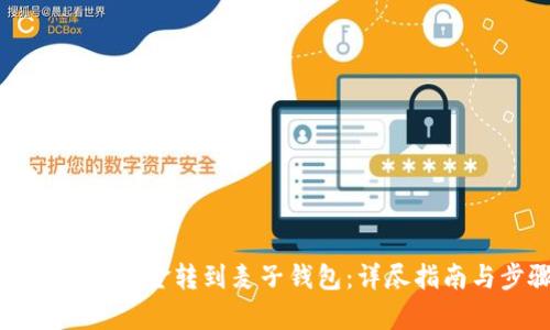 如何将TP钱包资金转到麦子钱包:详尽指南与步骤解析