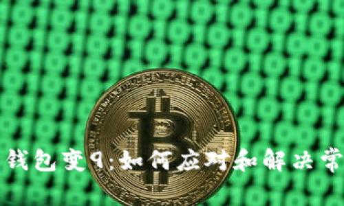比特币钱包变9：如何应对和解决常见问题