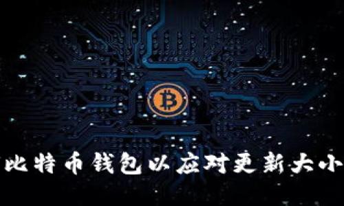如何比特币钱包以应对更新大小问题
