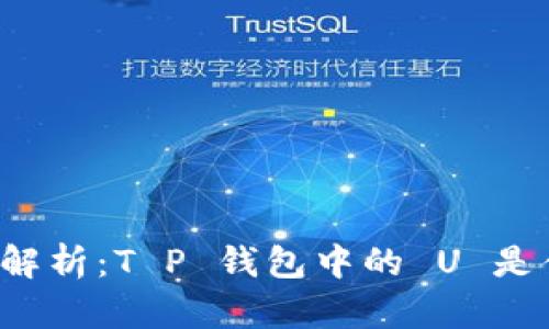 详细解析：T P 钱包中的 U 是什么？