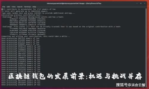 区块链钱包的发展前景:机遇与挑战并存