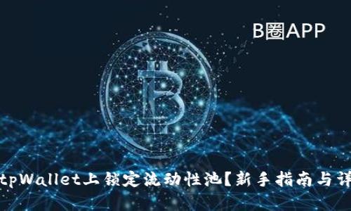 如何在tpWallet上锁定流动性池?新手指南与详细步骤